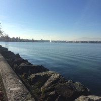 Avatar for Luis Freitas de Oliveira profile