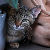 Avatar for Claire Wells profile