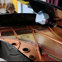 Avatar for Jesse Timonen profile