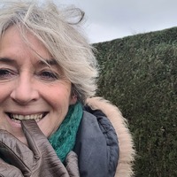 Avatar for Veronique Iaciu profile