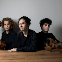 Avatar for francesco massimino profile