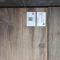 Avatar for Alon Gildoni profile