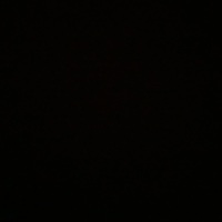 Avatar for Gabrielle Rickenbacher profile