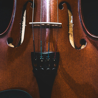 Avatar for Aleksandra Małgorzata Pisarczyk profile