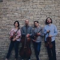 Avatar for Cercis String Quartet profile